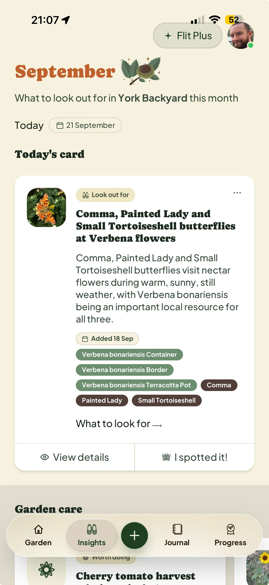 September Insights with a personalised card about butterflies to look out for on the garden's verbena flowers.