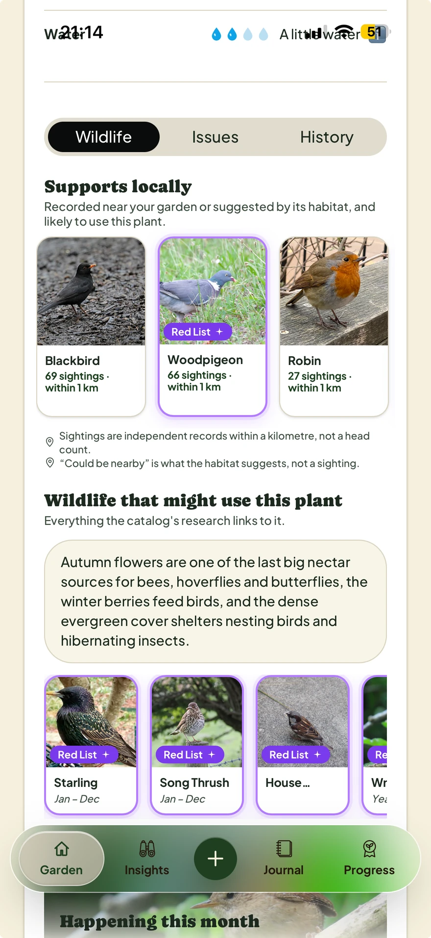 Common Ivy's Wildlife tab, showing locally recorded blackbirds, woodpigeons and robins, and how its flowers, berries and cover could help wildlife.