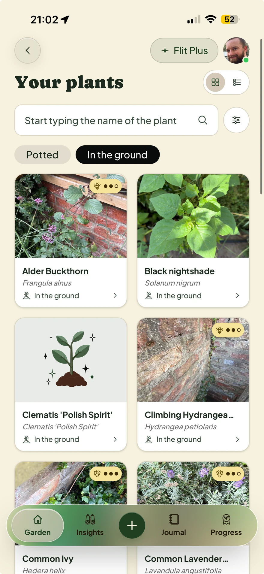Flit's plant collection, with photos of alder buckthorn, black nightshade and other garden plants.